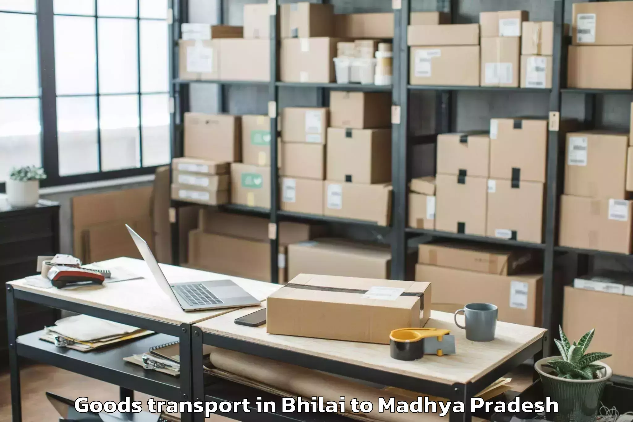 Book Your Bhilai to Machalpur Goods Transport Today